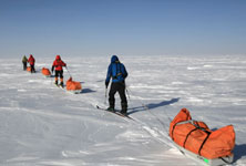 Expeditions to Antarctica