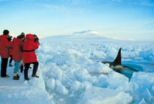 Antarctic Voyages