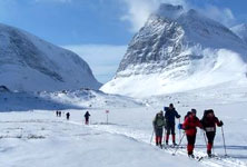 Holidays to the Arctic