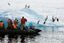 Trips to Antarctica